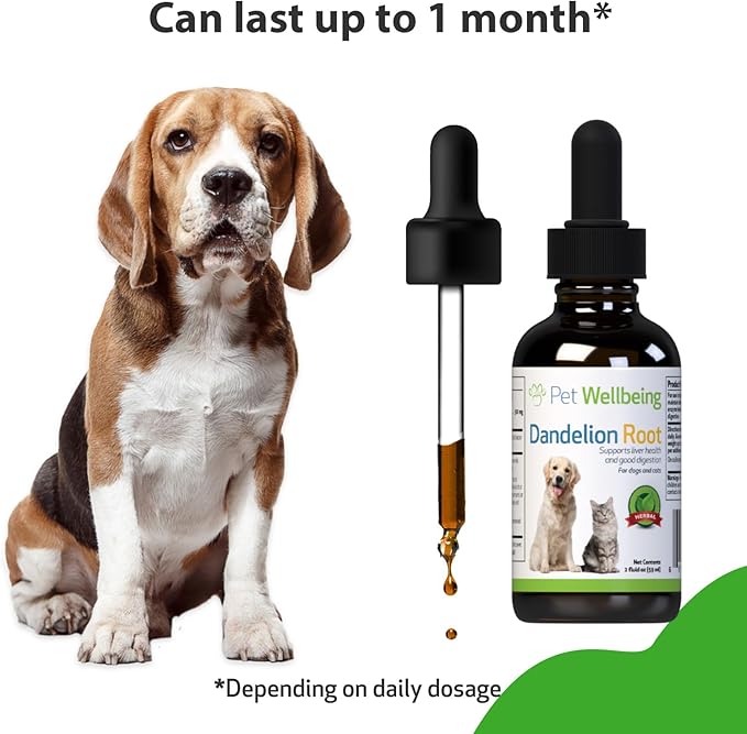 Pet Wellbeing Dandelion Root for Dogs - Liver, Digestive, Cardiovascular, Blood Sugar Support - Natural Herbal Supplement 2 oz (59 ml)