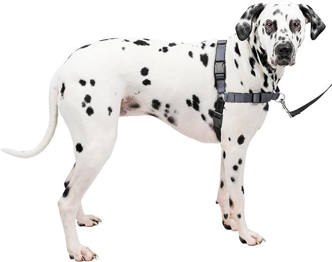 PetSafe® Deluxe Easy Walk® Dog Harness, No Pull Harness, Stop Pulling, Great for Walking and Training, Comfortable Padding, for Large Dogs- Steel/Black, Large