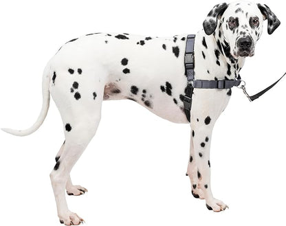 PetSafe® Deluxe Easy Walk® Dog Harness, No Pull Harness, Stop Pulling, Great for Walking and Training, Comfortable Padding, for Large Dogs- Steel/Black, Large