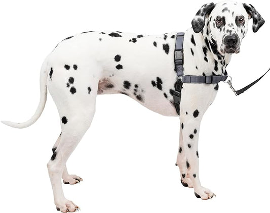 PetSafe® Deluxe Easy Walk® Dog Harness, No Pull Harness, Stop Pulling, Great for Walking and Training, Comfortable Padding, for Large Dogs- Steel/Black, Large