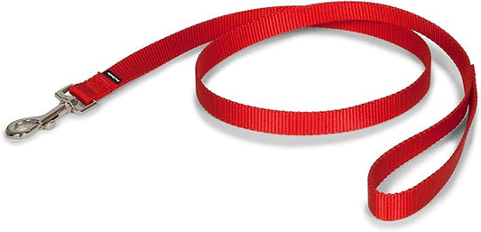 PetSafe Nylon Dog Leash - Strong, Durable, Traditional Style Leash with Easy to Use Bolt Snap - 3/4 in. x 4 ft., Red
