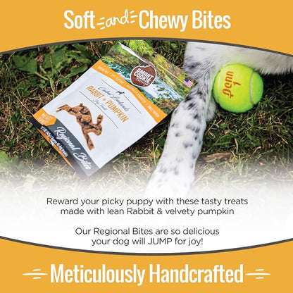 All Natural Dog Treats - Rabbit & Pumpkin - Training Treats for Dogs & Puppies with Allergies, Sensitive Stomachs - Soft Dog Treats, Grain Free, Chewy, Human-Grade, Made in USA - 5oz Bag