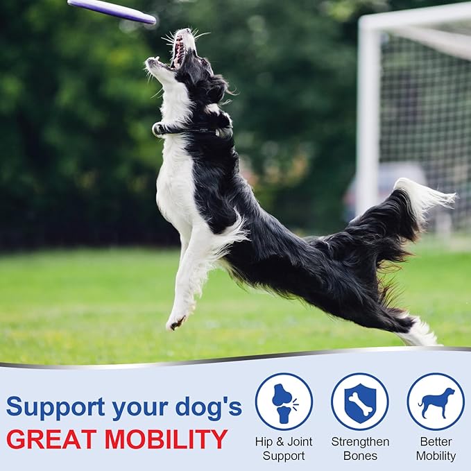 Joint Supplement for Dogs, Glucosamine Chondroitin for Dogs Joint Pain Relief, MSM - Advanced Mobility Chews Reduce Inflammation, Hip & Joint Care - Lamb Flavor - 120 Ct