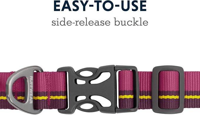 Ruffwear, Flat Out Dog Collar (Formerly Hoopie), Webbing Collar for Walking and Everyday Use, Wildflower Horizon, 14"-20"