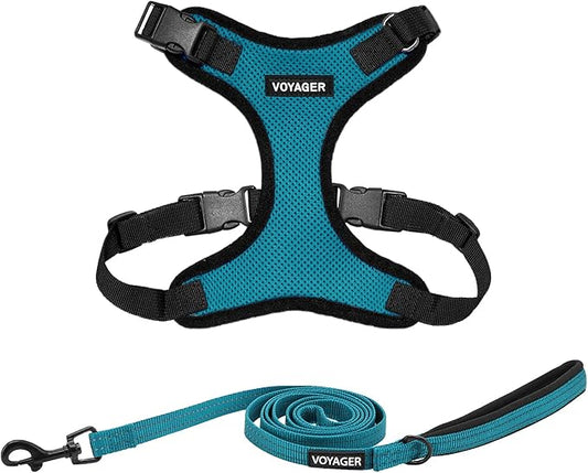 Voyager Step-in Lock Dog Harness w Reflective Dog Leash Combo Set with Neoprene Handle 5ft - Supports Small, Medium and Large Breed Puppies/Cats by Best Pet Supplies - Turquoise/Black Trim, XL