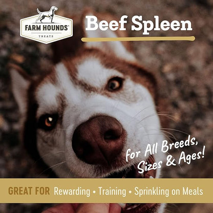 Farm Hounds Beef Spleen Jerky Treats for Dogs, Premium Dried Dog Treats, High Protein Training Treat for Small & Large Dogs, Natural & Healthy Dog Treats, Made in USA, Beef Spleen 4oz