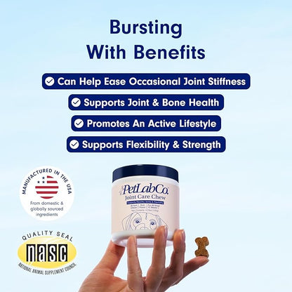 Petlab Co. Joint Care Chews for Dogs - High Levels of Glucosamine, Green Lipped Mussels, Omega 3 and Turmeric - Hip and Joint Supplement for Dogs to Actively Support Mobility