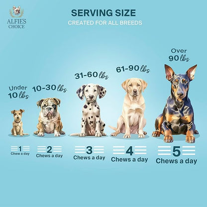 ALFIE'S CHOICE Dog Allergy Relief Chews - Allergy & Itch Relief Dogs Support Supplement, Probiotic Blend with Salmon Oil & Turmeric - Chicken Flavor Dog Allergy Chews Itchy Skin, 12 oz, Appx 160 Count
