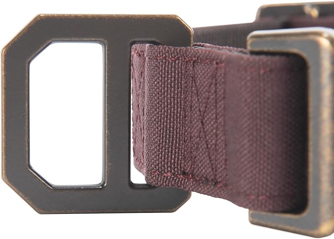 Carhartt Nylon Duck Dog Collar, Fully Adjustable Durable 2-Ply Cordura Nylon Canvas Collars for Dogs, Deep Wine, Large
