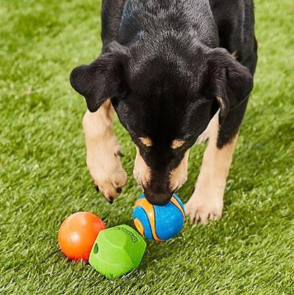 Chuckit Fetch Medley Dog Ball Dog Toys, Medium (2.5 Inch) Pack of 3, for Medium Breeds, Includes Erratic, Strato and Ultra Squeaker Balls