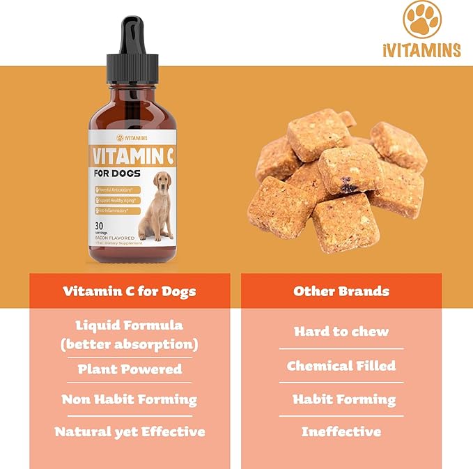 Vitamin C for Dogs | Helps with Improving Immune Health | Vitamin C for Dogs Liquid | Dog Immune Support | Dog Immune and Allergy Supplement | Dog Immune Booster | 1 oz Bacon Flavor