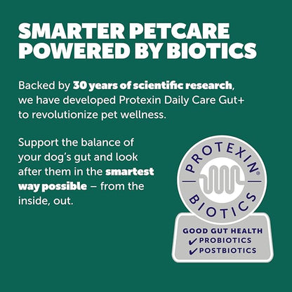 Daily Care Gut+ Digestive, 60 probiotic and postbiotic Dog Supplement Chews – Chicken and Carob Flavored
