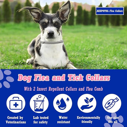 Flea Collar for Dogs, Dog Flea Collars Kill Flea and Ticks, 2 Pack Natural Flea and Tick Prevention Collar for Dogs, Water Resistant Dog Tick Collar, One Size Fits All Dogs