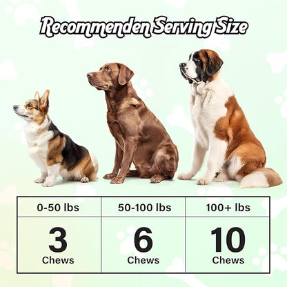 Probiotics for Dogs, Digestive Support, Dog Supplements with Enzymes