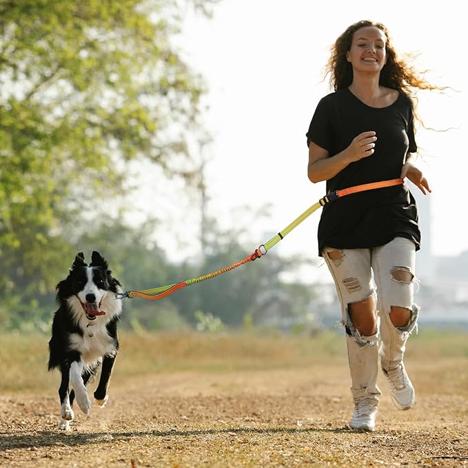 Roses&Poetry Dog Running Leash Hands Free,No Pull Bungee Dog Running Waist Leash for Walking Training with Car Seatbelt 4-6FT