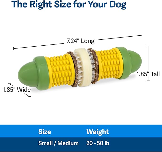 PetSafe Busy Buddy Cravin’ Corncob Dog Toys – Treat Ring Holding Chew Toy – BPA Free Rubber – Butter Scented – Interactive Pet Puzzle for Boredom or Separation Anxiety – Small to Large Dogs