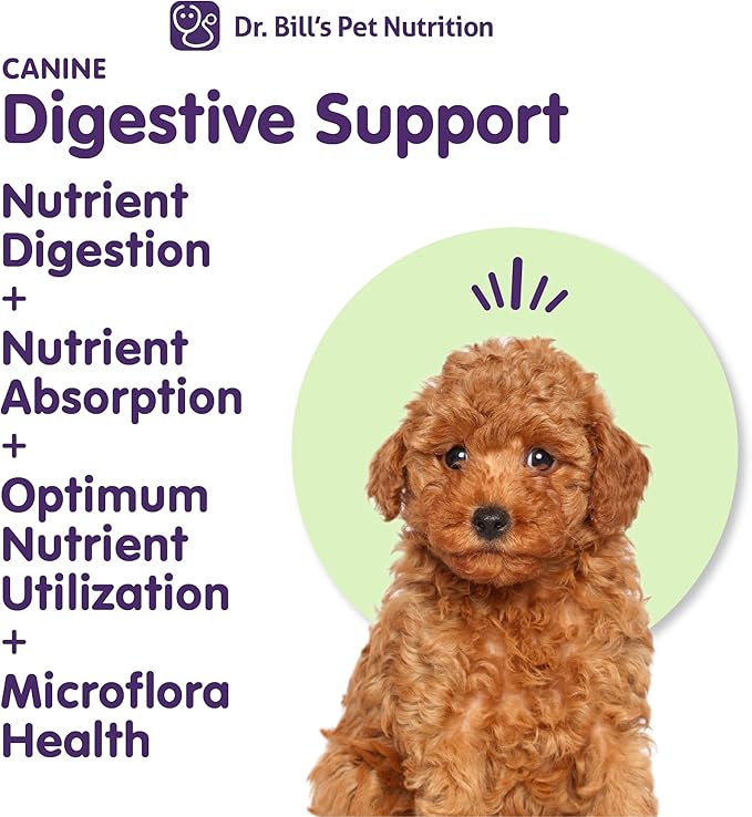 Dr. Bill’s Canine Digestive Support | Probiotics & Prebiotics for Dogs | Gut Health Pet Supplements | Contains Ginger Root, Psyllium Husk, Lemon Balm and Bifidobacterium