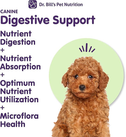 Dr. Bill’s Canine Digestive Support | Probiotics & Prebiotics for Dogs | Gut Health Pet Supplements | Contains Ginger Root, Psyllium Husk, Lemon Balm and Bifidobacterium