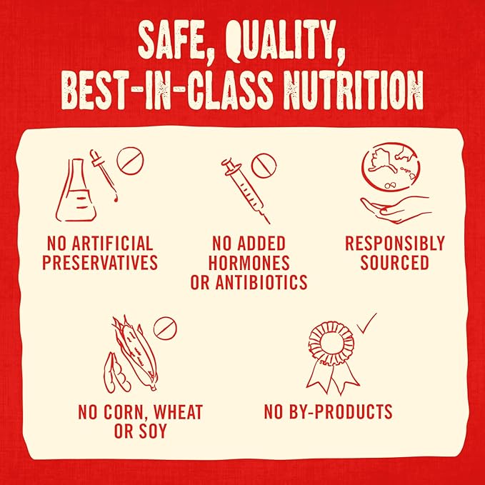 Stella & Chewy's Freeze-Dried Raw Coated Dog Biscuits – Cage-Free Duck Recipe – Protein Rich, Grain Free Dog & Puppy Treat – Great Snack for Training & Rewarding – 9 oz Bag