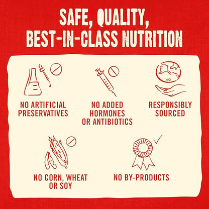 Stella & Chewy's Freeze-Dried Raw Coated Dog Biscuits – Cage-Free Duck Recipe – Protein Rich, Grain Free Dog & Puppy Treat – Great Snack for Training & Rewarding – 9 oz Bag