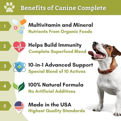 Wholistic Pet Organics: Multivitamin Chews for Dogs Organic Homemade Dog Treat for Medium and Small Dogs Calming Chews for Dogs Food Puppy Multivitamin Probiotics Immune Support Supplement
