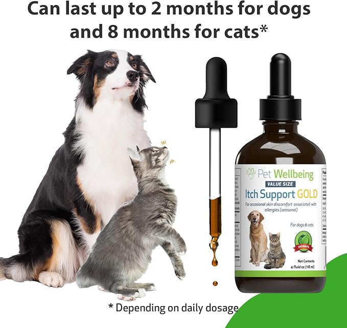 Pet Wellbeing Itch Support Gold for Dogs & Cats - Vet-Formulated - Itchy Skin & Paws, Hot Spots, Skin Allergies - Natural Herbal Supplement 4 oz (118 ml)