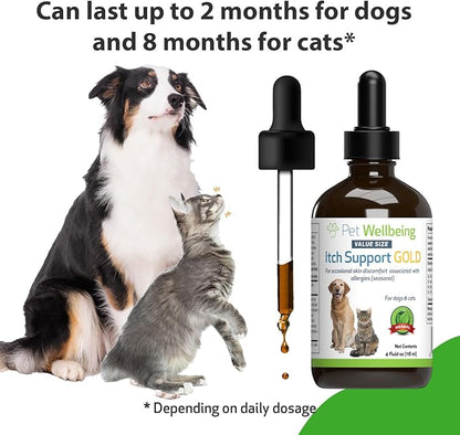 Pet Wellbeing Itch Support Gold for Dogs & Cats - Vet-Formulated - Itchy Skin & Paws, Hot Spots, Skin Allergies - Natural Herbal Supplement 4 oz (118 ml)