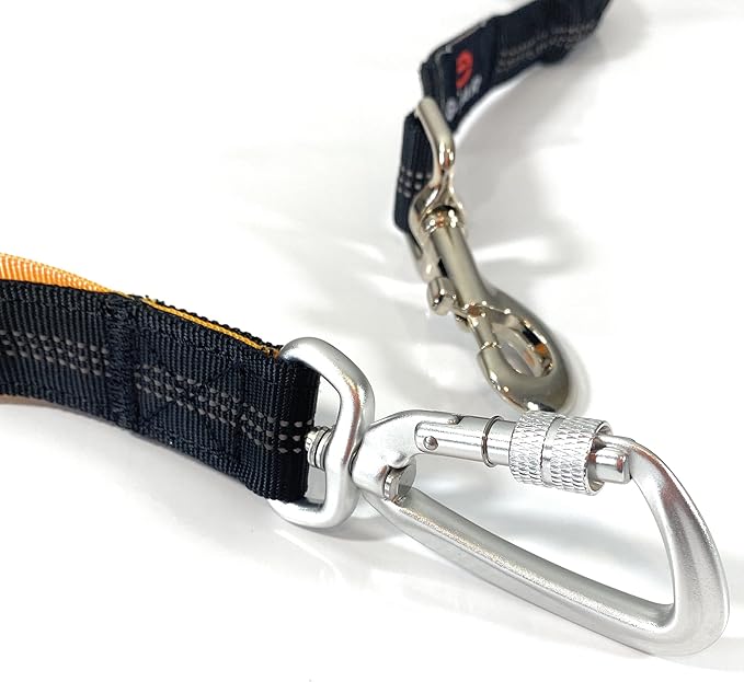 Hands Free Dog Leash with Locking Carabiner | Waterproof Running Dog Leash with Zipper Pouch, Dual Padded Handles and Durable Bungee for Active Dogs and Lifestyles