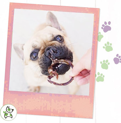 Nature Gnaws - Pork Bully Stick Pretzels for Dogs - Premium Natural Pork Dental Chews - Jerky Treats for Puppies and Small Breeds - Rawhide Free