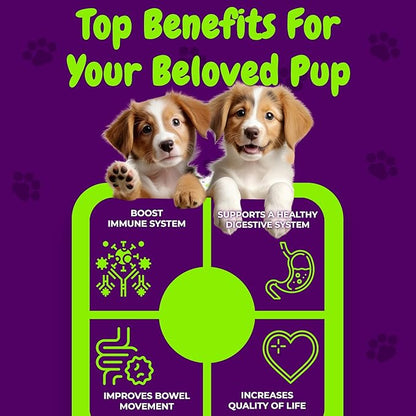 Probiotics and Digestive Enzymes for Dogs - Gut Flora, Digestive Health, Diarrhea & Bowel Support - Functional Dog Supplement Soft Chews for Immune System Boost with Pumpkin