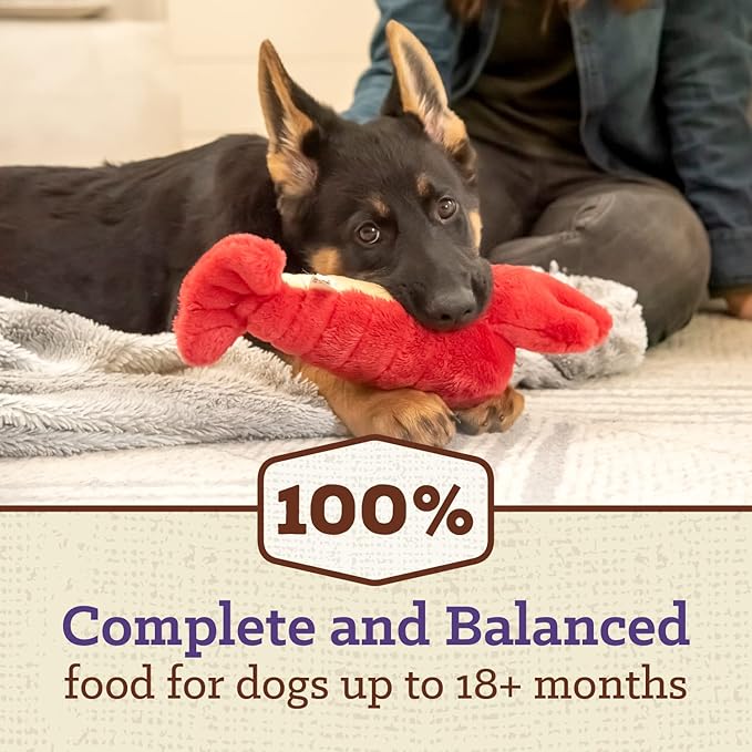 Nutro Max Large Breed Puppy Recipe Dry Dog Food With Farm-Raised Chicken, 25 LB Bag