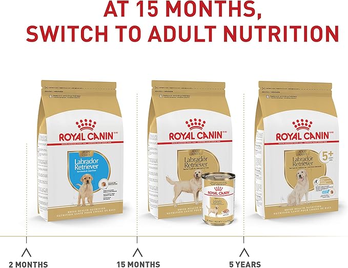 Royal Canin Labrador Retriever Adult Dry Dog Food, 30 lb bag