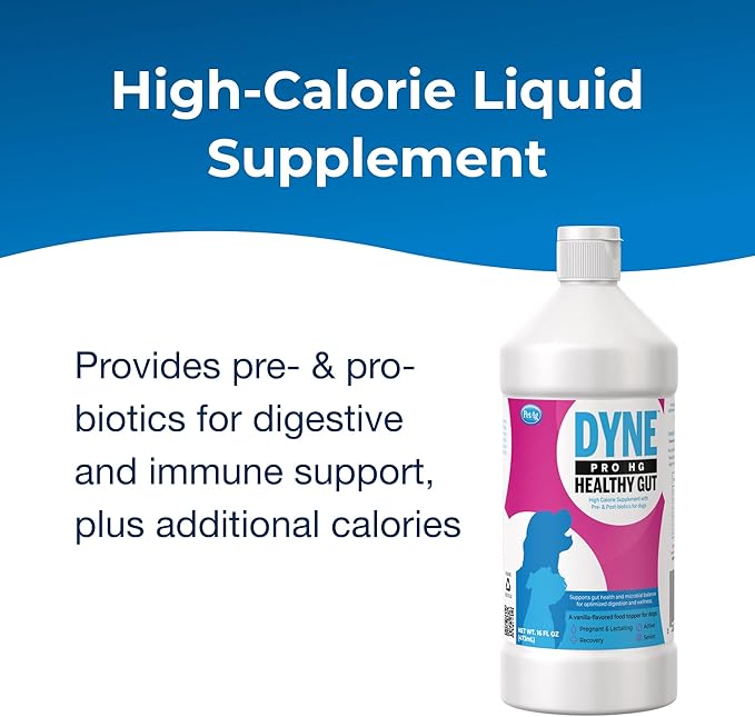 PetAg Dyne PRO HG Healthy Gut for Dogs & Puppies 8 Weeks & Older - 16 oz - High Calorie Liquid Nutritional Supplement with Pre- & Post-Biotics - Supports Endurance & Gut Health - Sweet Vanilla Flavor