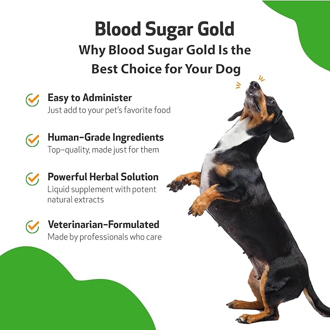 Pet Wellbeing Blood Sugar Gold for Dogs - Vet-Formulated - Supports Blood Sugar Balance, Healthy Pancreas & Liver - Natural Herbal Supplement 2 oz (59 ml)