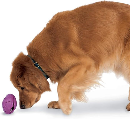 PetSafe Busy Buddy Twist 'n Treat Dispensing Dog Toy - Large
