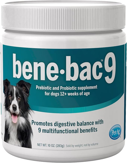 Pet-Ag Bene-Bac 9-10 oz Powder - Prebiotic and Probiotic Supplement for Dogs 12 Weeks and Older - Provides Nine Multifunctional Benefits