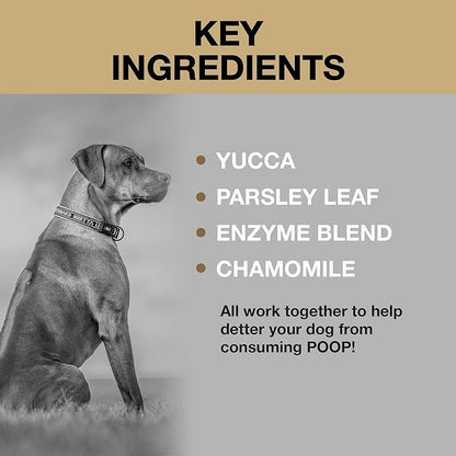 Deter-X Dog Poop Eating Deterrent - Chew Treats for Poo Eating Prevention - Yucca, Parsley, Chamomile, Digestive Enzymes, Prebiotics, Probiotics for Dogs - Puppy & Dog Stuff - 60 Bites