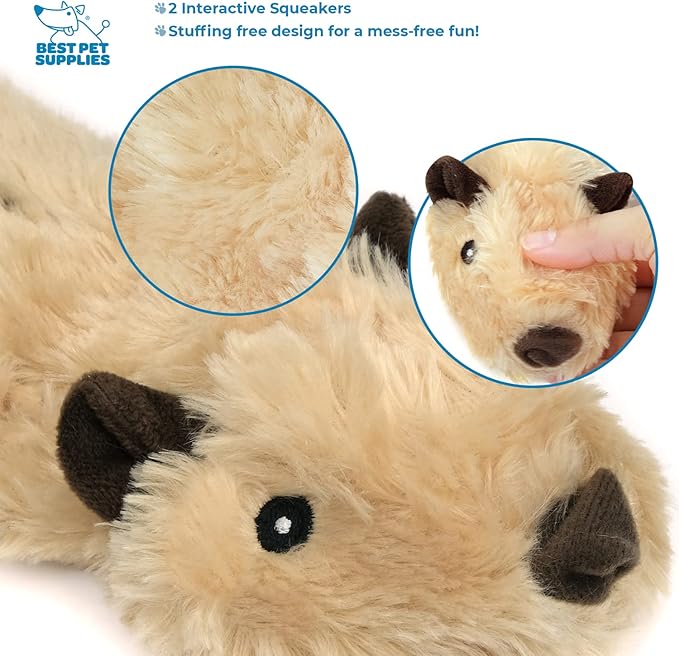 Best Pet Supplies Stuffing Free Squeaky Dog Toys for Small Dogs, Medium Dogs, and Large Dogs, Durable, Best Dog Chew Toy for Teething Puppy, Indoor Play, Holds Plastic Bottle - Squirrel, Medium