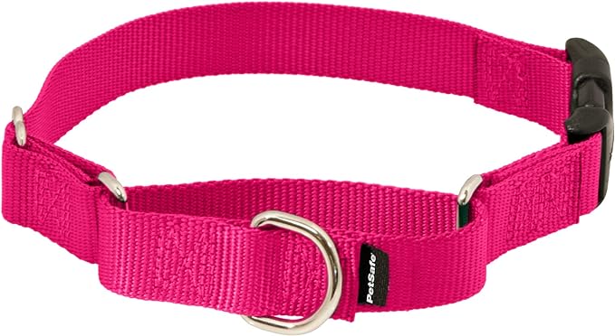 PetSafe Martingale Collar with Quick Snap Buckle, 3/8" Petite, Raspberry