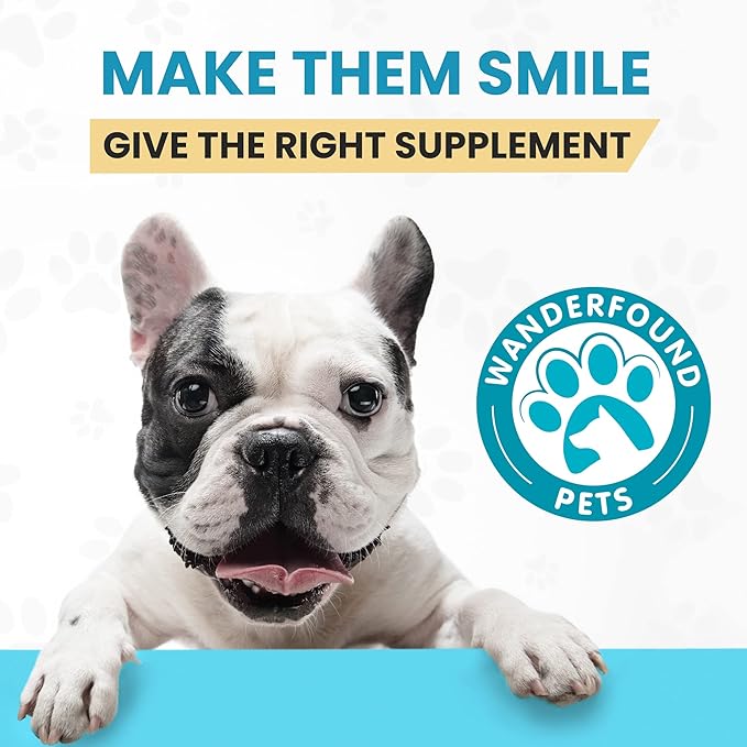 Wanderfound Pets - Omega 3 for Dogs, Skin and Coat Fish Oil for Dogs, Dog Itch Relief, Joint and Heart Health, Chewable Vitamins for Dogs Fur and Skin, Smoked Salmon and Liver Flavor, 120 Tablets