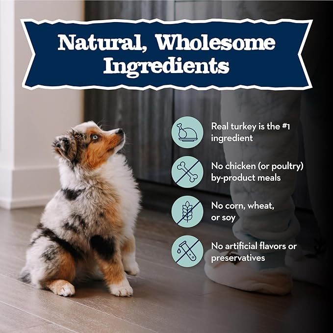 Blue Buffalo Baby BLUE Healthy Growth Formula Grain Free High Protein, Natural Puppy Wet Dog Food, Turkey and Potato Recipe 12.5-oz Cans (Pack of 12)