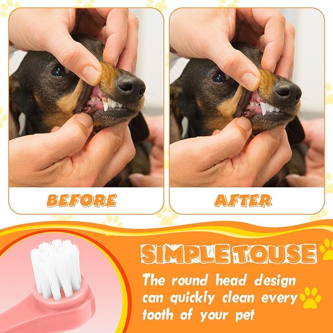 Yinder 12 Pcs Cat Toothbrush Small Dog Toothbrush Mini Head Soft Bristles Dog Tooth Brush Gentle Pet Toothbrush Long Handle Tooth Brush for Puppy Cats Large and Small Dog Dental Care (6 Colors)