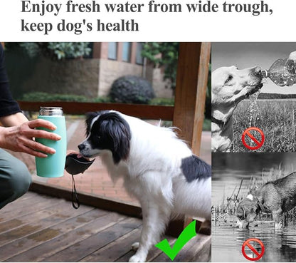 VIVAGLORY Dog Water Bottle, Pet Drinking Bottle, 25oz Portable & Leakproof Stainless Steel Dog Travel Water Bottle Bowl with Large Trough for Walking & Hiking, Mint Green