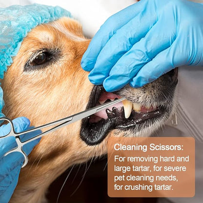 Dog Teeth Scaler, Double Headed Spatula, Stainless Steel, Tartar Remover Pet Teeth Cleaning Tool for Dogs and Cats (7pcs)