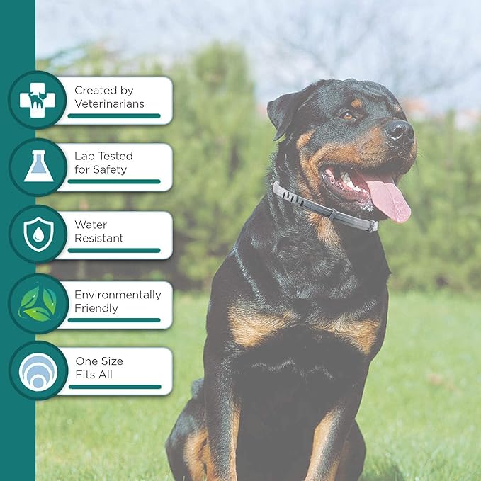 Natural Flea and Tick Collar for Large Dogs - Provides 12-Month Protection, Offers Safe Pest Prevention, Waterproof and Durable - includes Free Flea Comb and Tick Tweezer (27.5 in - 2 Packs)