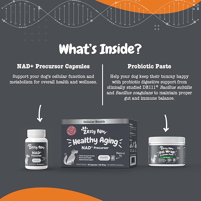 Zesty Paws NAD+ Precursor Supplement for Dogs - Niagen for Healthy Aging & Skeletal Muscle Support & Recovery - Brain, Heart, & Cellular Energy Support - Nicotinamide Riboside Chloride - 60 Capsules