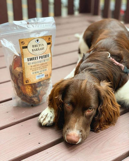 Sweet Potato Slices - Dog Treats - Single Ingredient Grain Free for Dogs, Best High Anti-Oxidant Healthy 100% Natural Thick Cut Dried Sweet Potato Dog Treats With No Added Preservatives (8oz)
