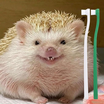 2 Pcs Pet Toothbrush for Hedgehog Small Animal Toothbrush Mini Head Soft Bristles Gentle Pet Toothbrush for Small Pets Dental Care Hedgehog Supplies Hedgehog Grooming Accessories (2 Pack)