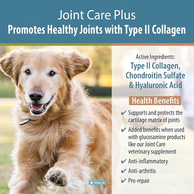 JustFoodForDogs Joint Care Plus, Dog Joint Supplement, Type II Collagen & Chondroitin Sulfate - 60 count