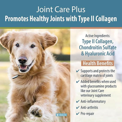 JustFoodForDogs Joint Care Plus, Dog Joint Supplement, Type II Collagen & Chondroitin Sulfate - 60 count